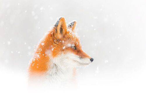 С наступающим!!!