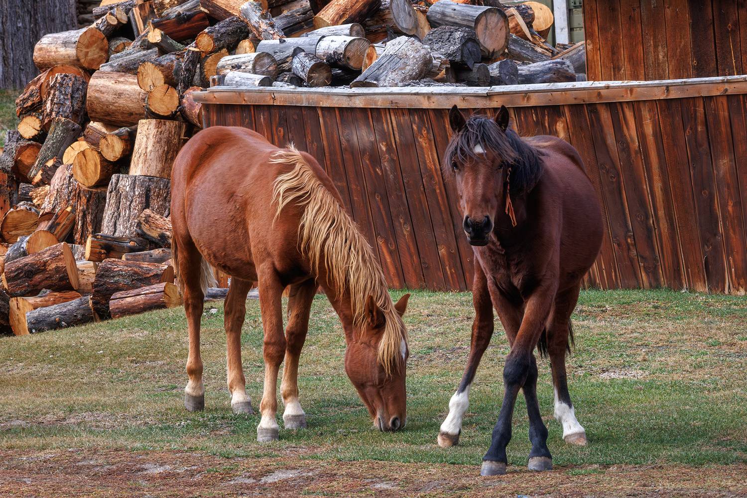 , Морозов Сергей