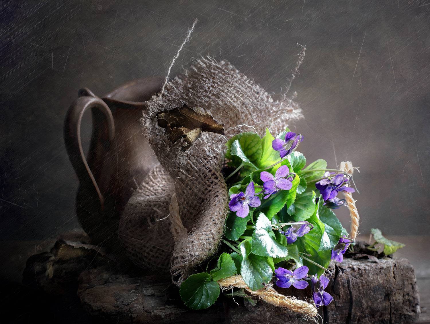 , Gasiorowski Wladyslaw