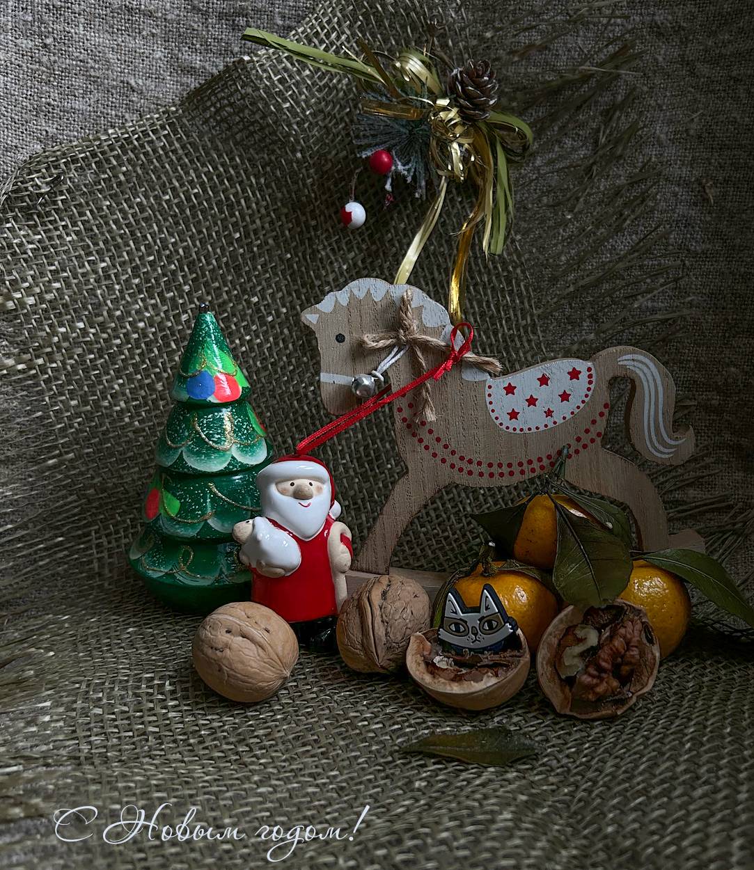 , Новикова Ольга