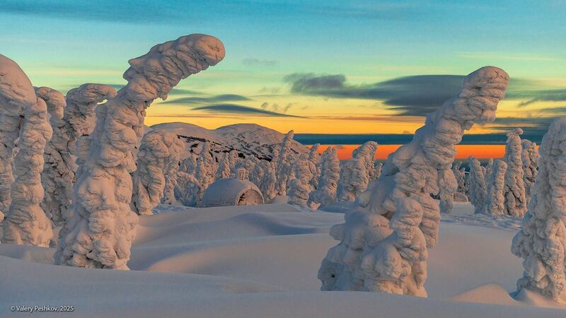 шерегеш, иней, пихты, гора зелёная, горная шория, зимнее утро, рассвет, снег, мороз, зима, сибирь Гимн восходящему солнцу фото превью