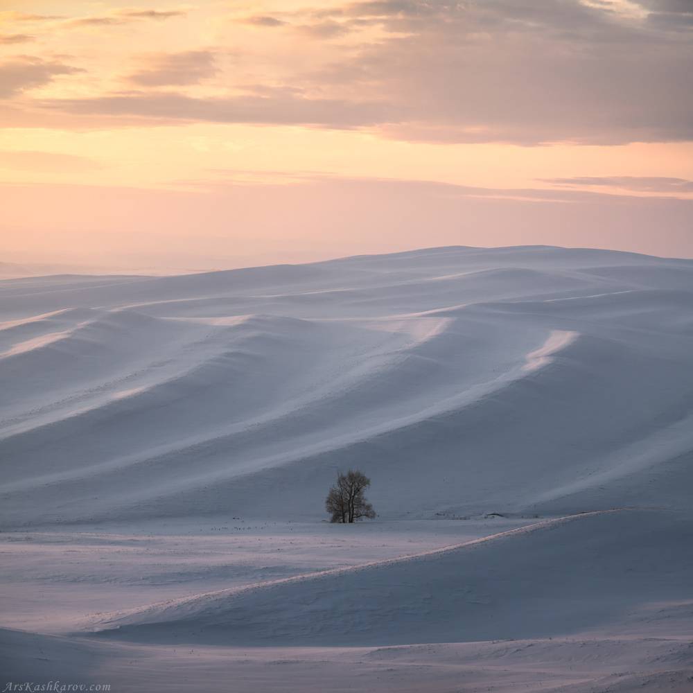 , Арсений Кашкаров