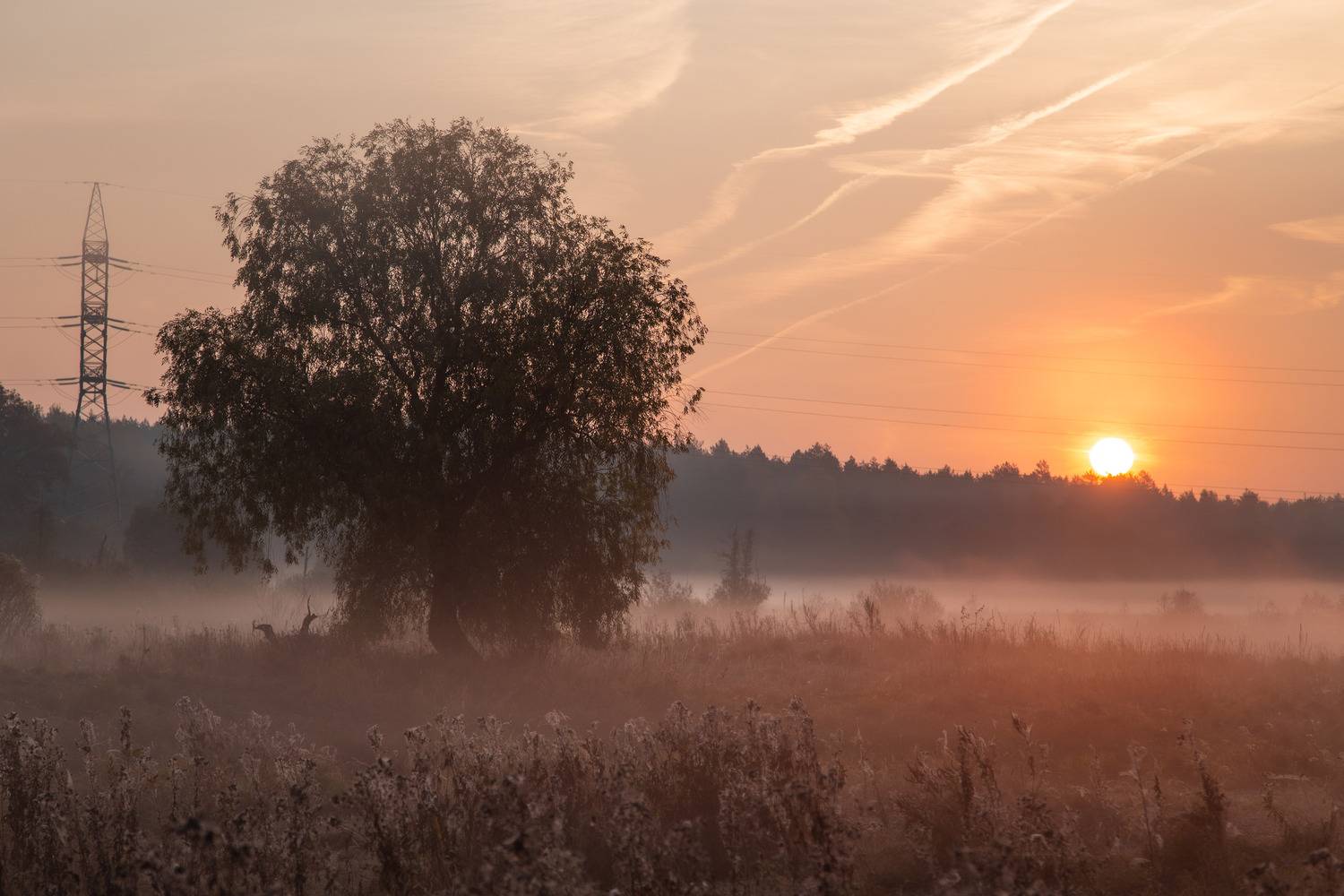 Владимир, город Владимир, природа Владимира, Владимирская область, туман, Кормашова Татьяна