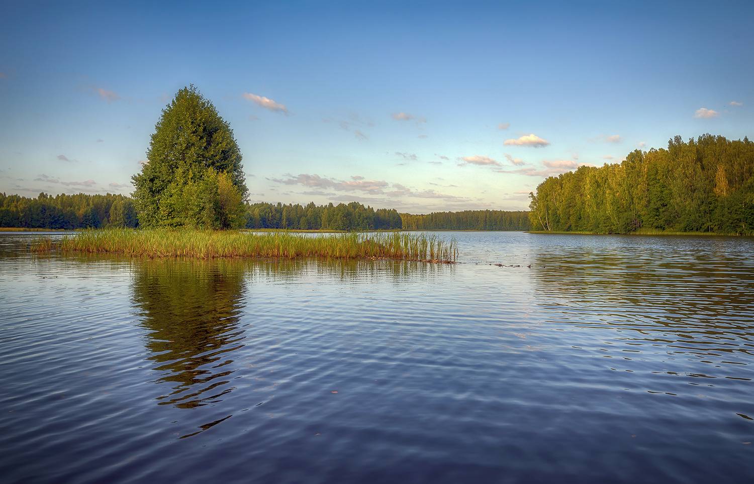 , Сергей Аникин