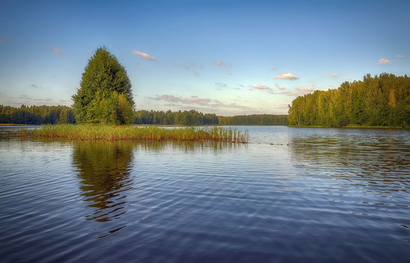 *** фото превью