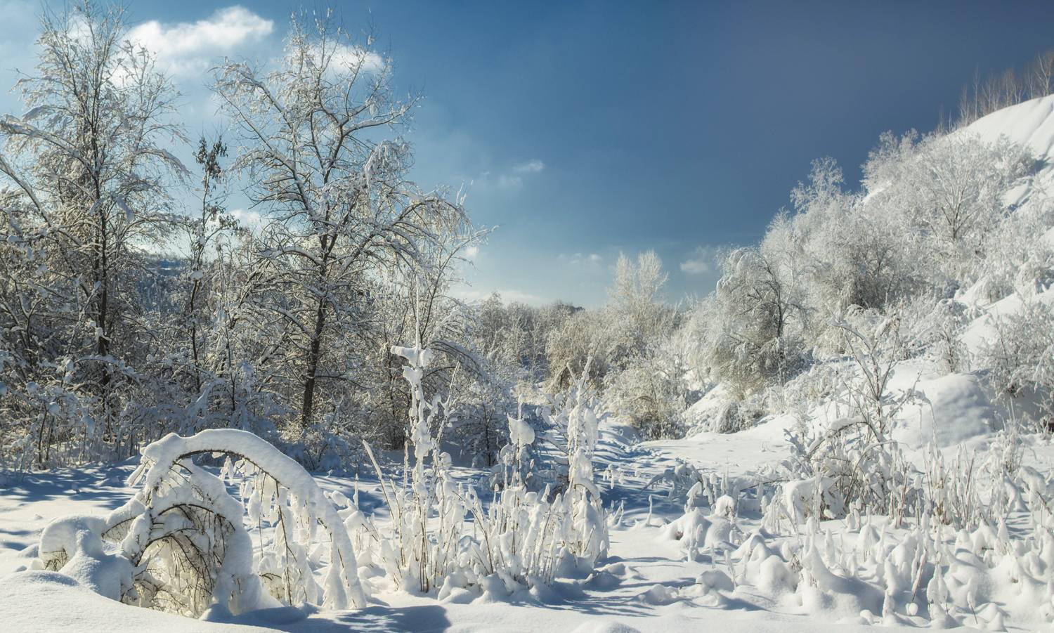 солнечный, последний, день, уходящего, года..., Мелекесцев Игорь