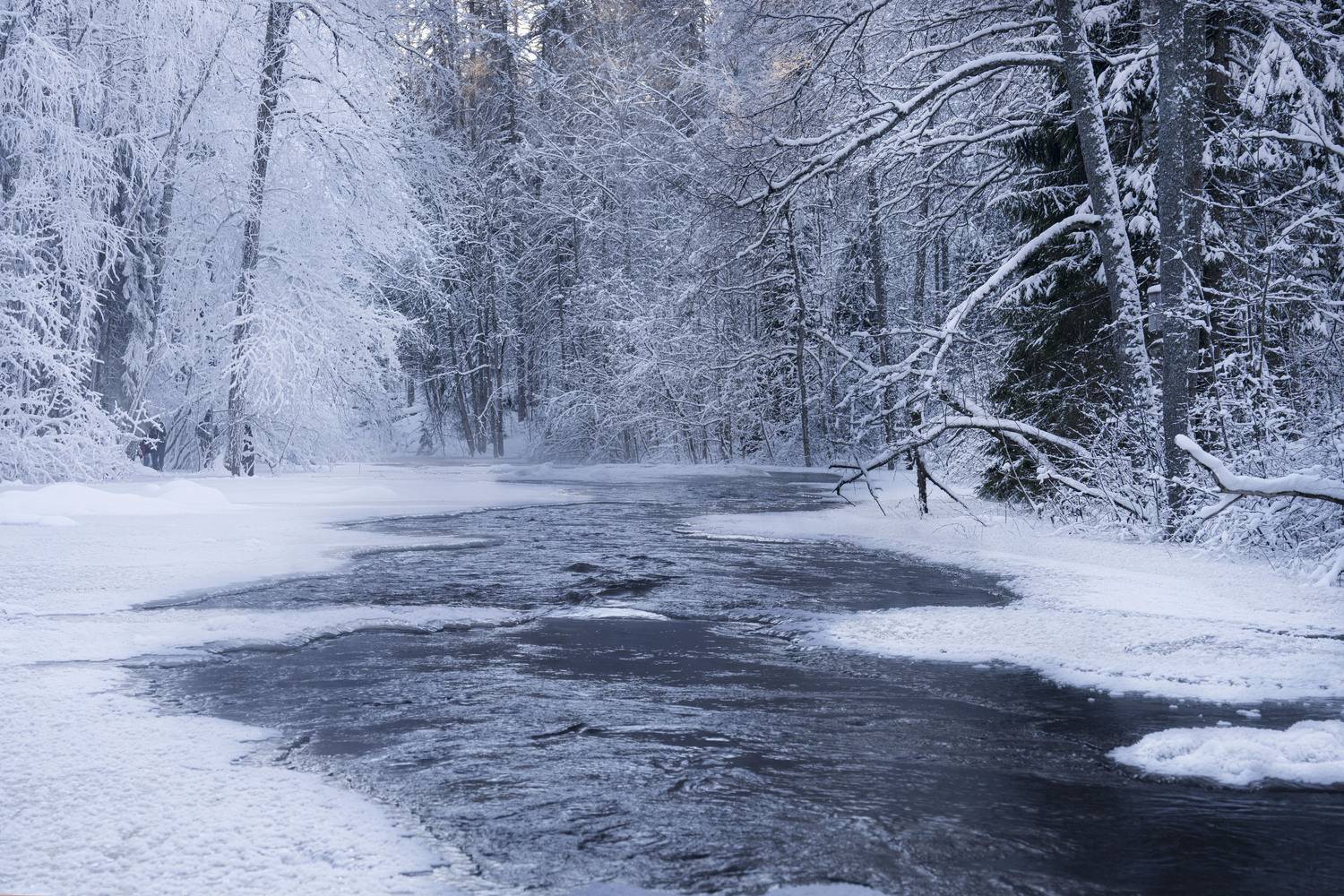 зима, линдуловская роща, река, рощинка, Дейнекина Галина