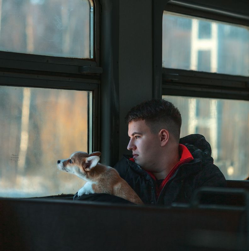 фото превью