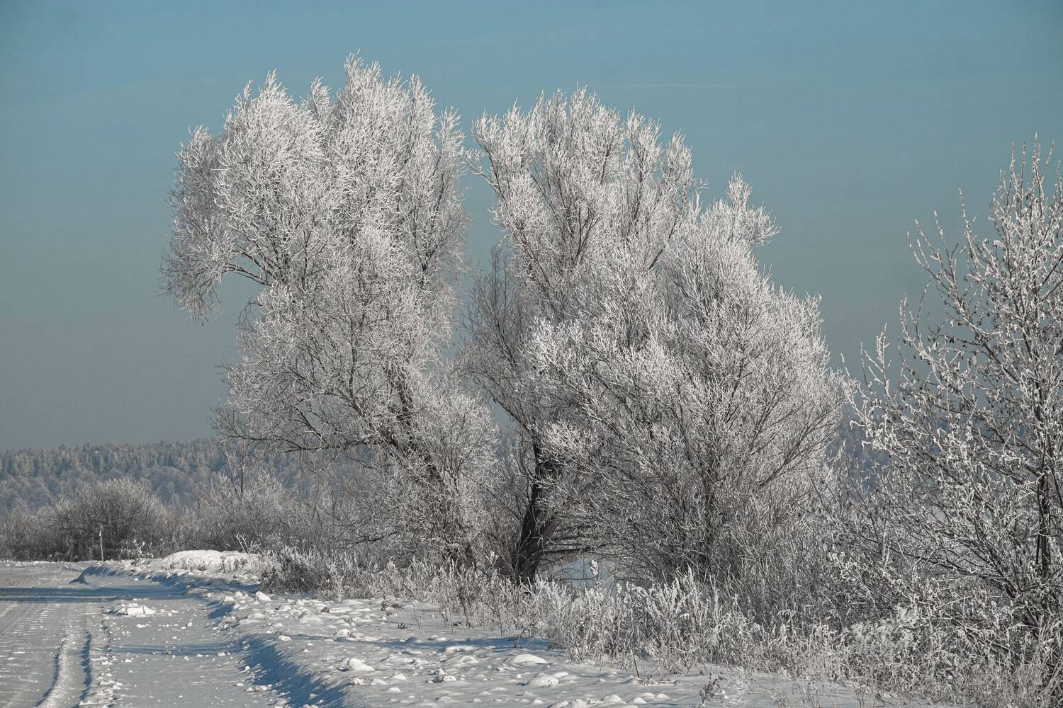 зима дорога снег иней природа пейзаж, Александр Строков