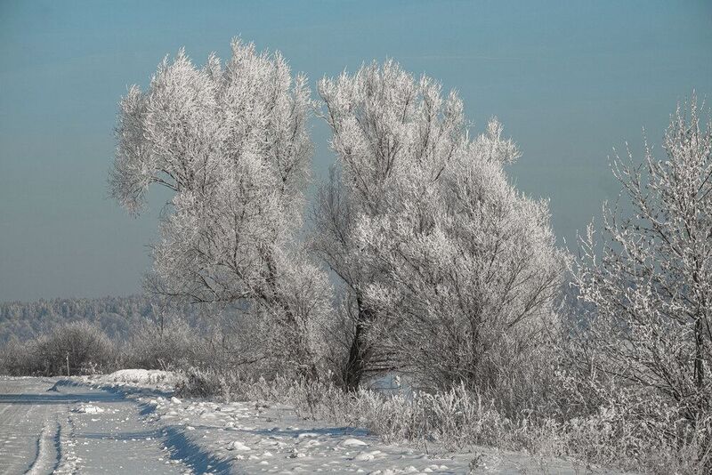 зима дорога снег иней природа пейзаж По дороге. фото превью