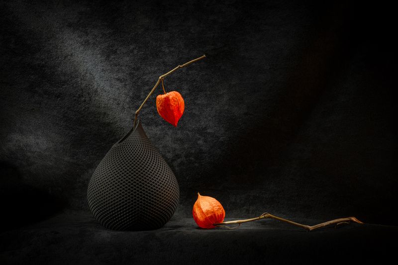 Этюд с физалисом фото превью