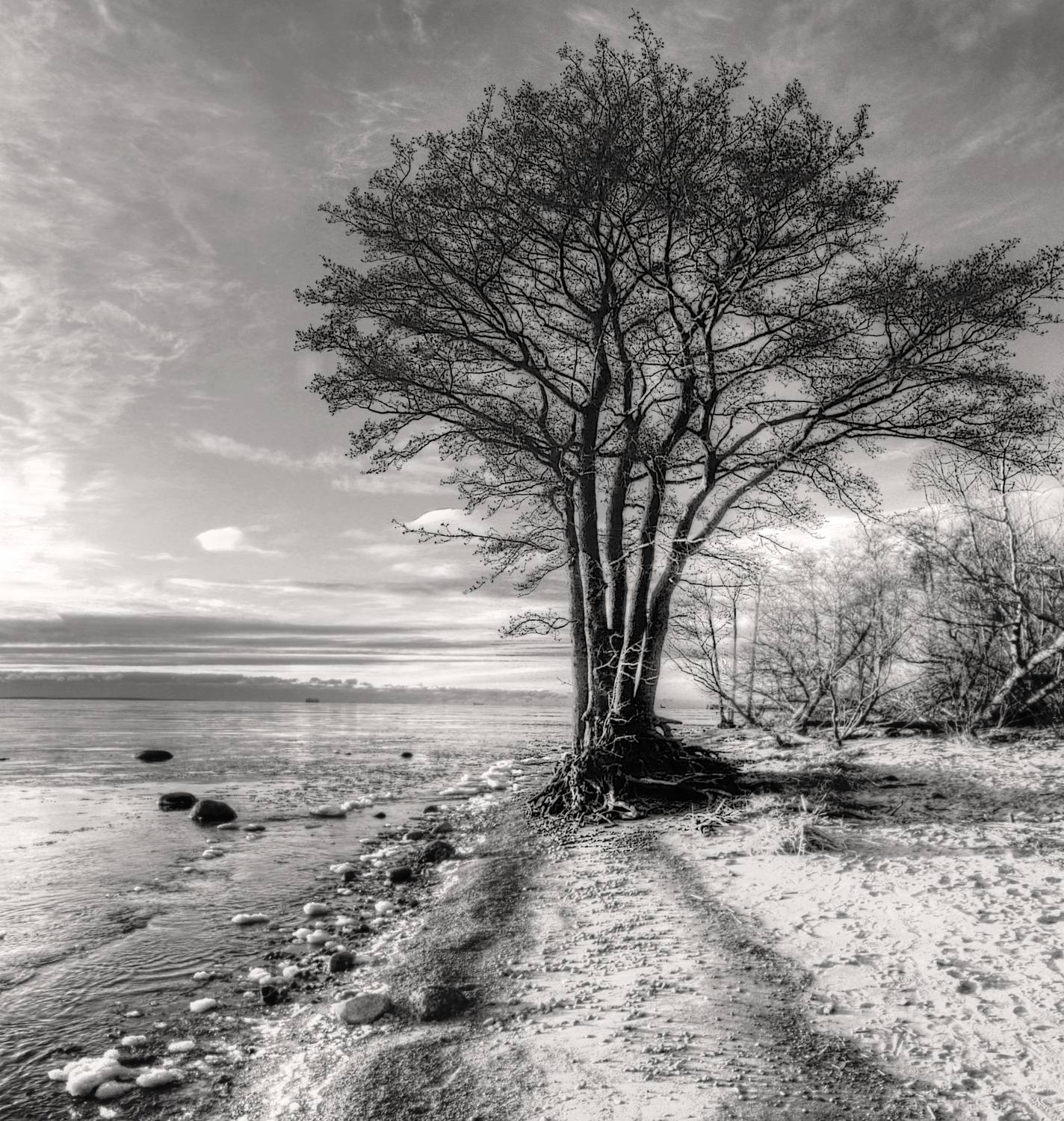 , Сергей Григорьев