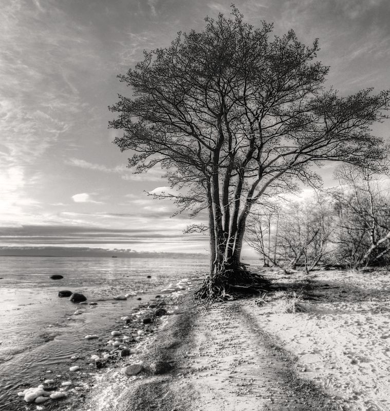 *** фото превью