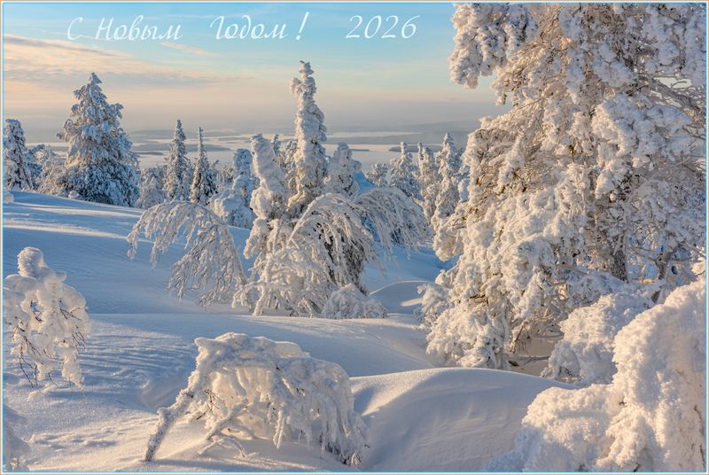 С Новым Годом! фото превью