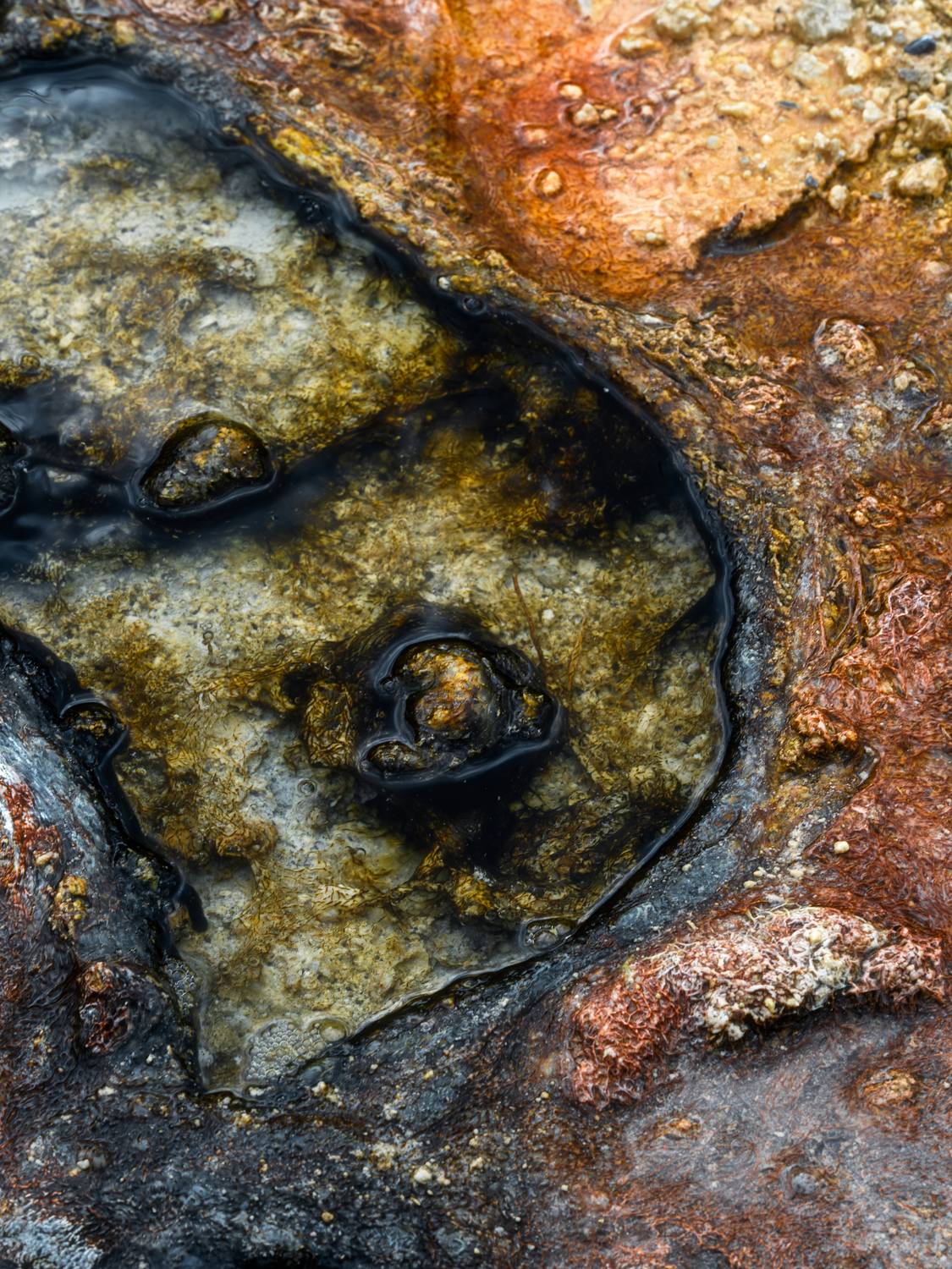 , Вукотић Никола