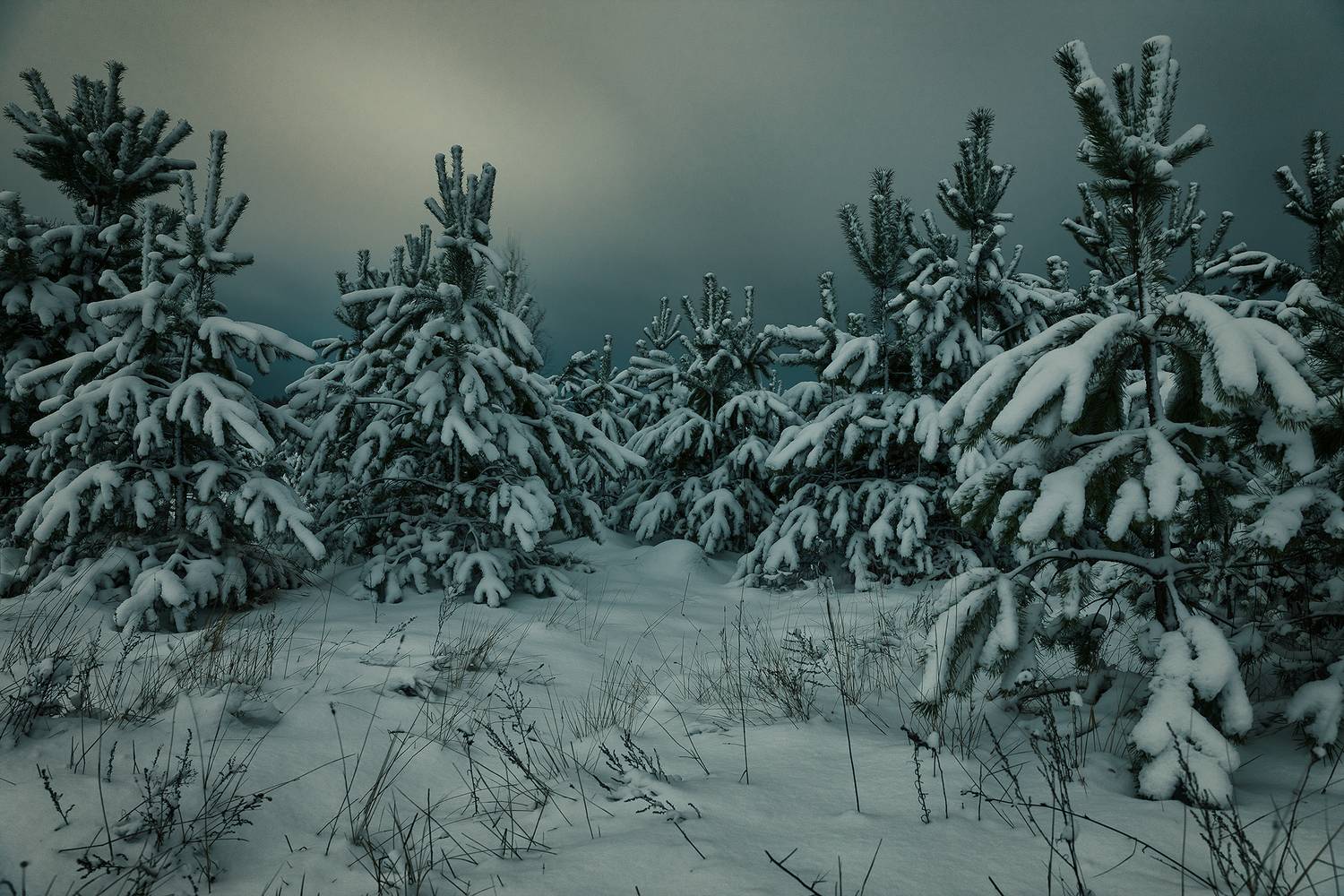 , Алексей Бондаренко