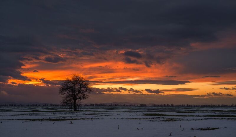 last for 2025 фото превью