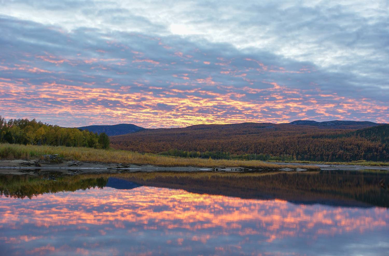 , Андрей Загребельный