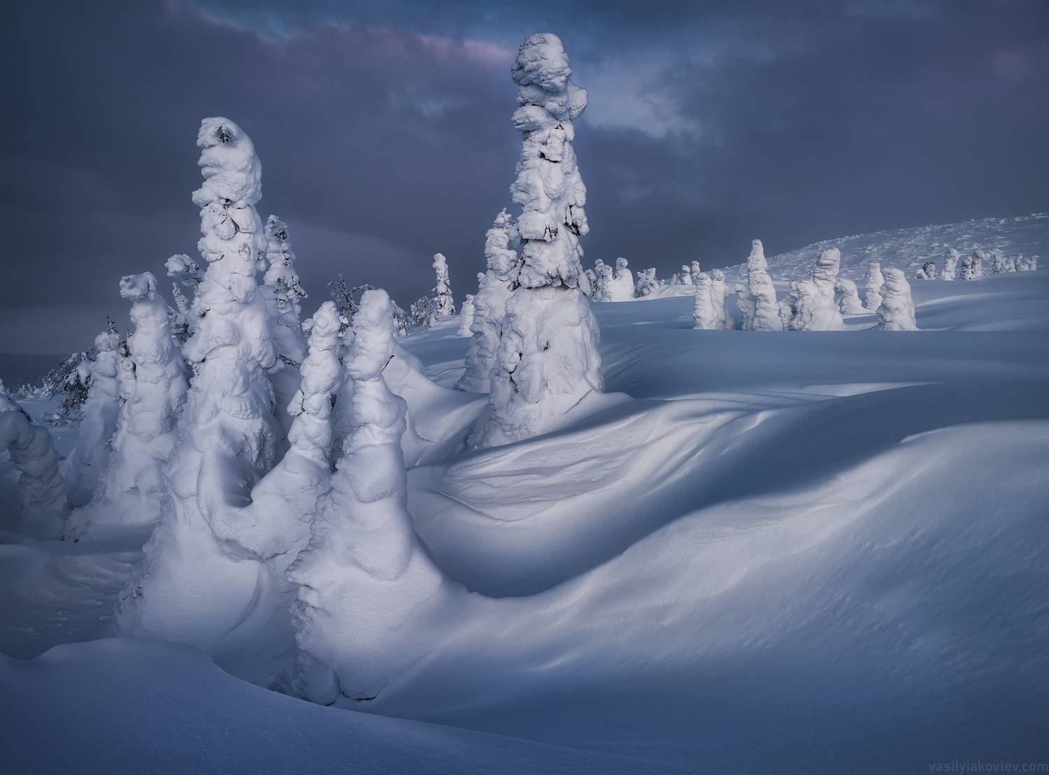 , Василий Яковлев