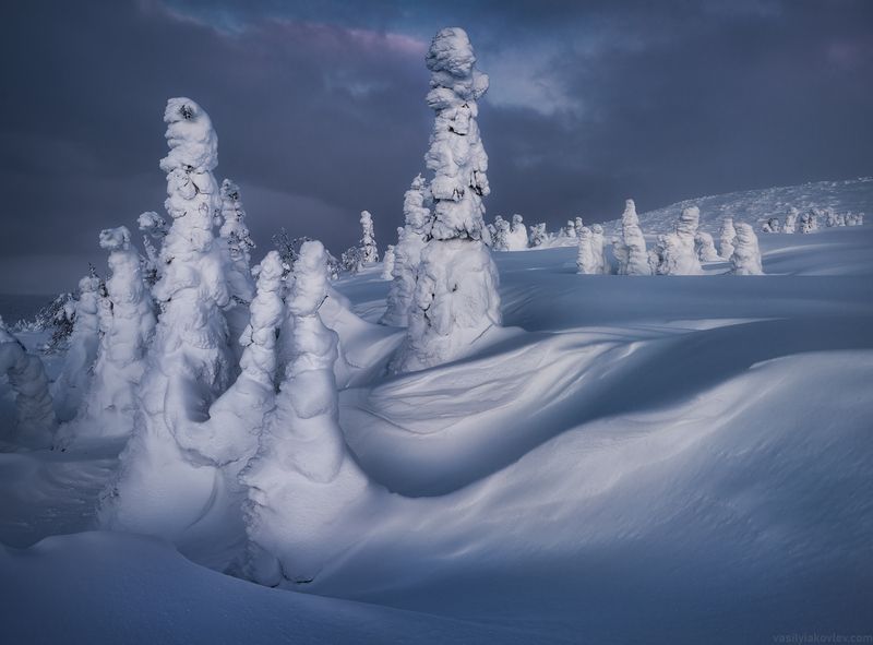 С Новым годом! фото превью