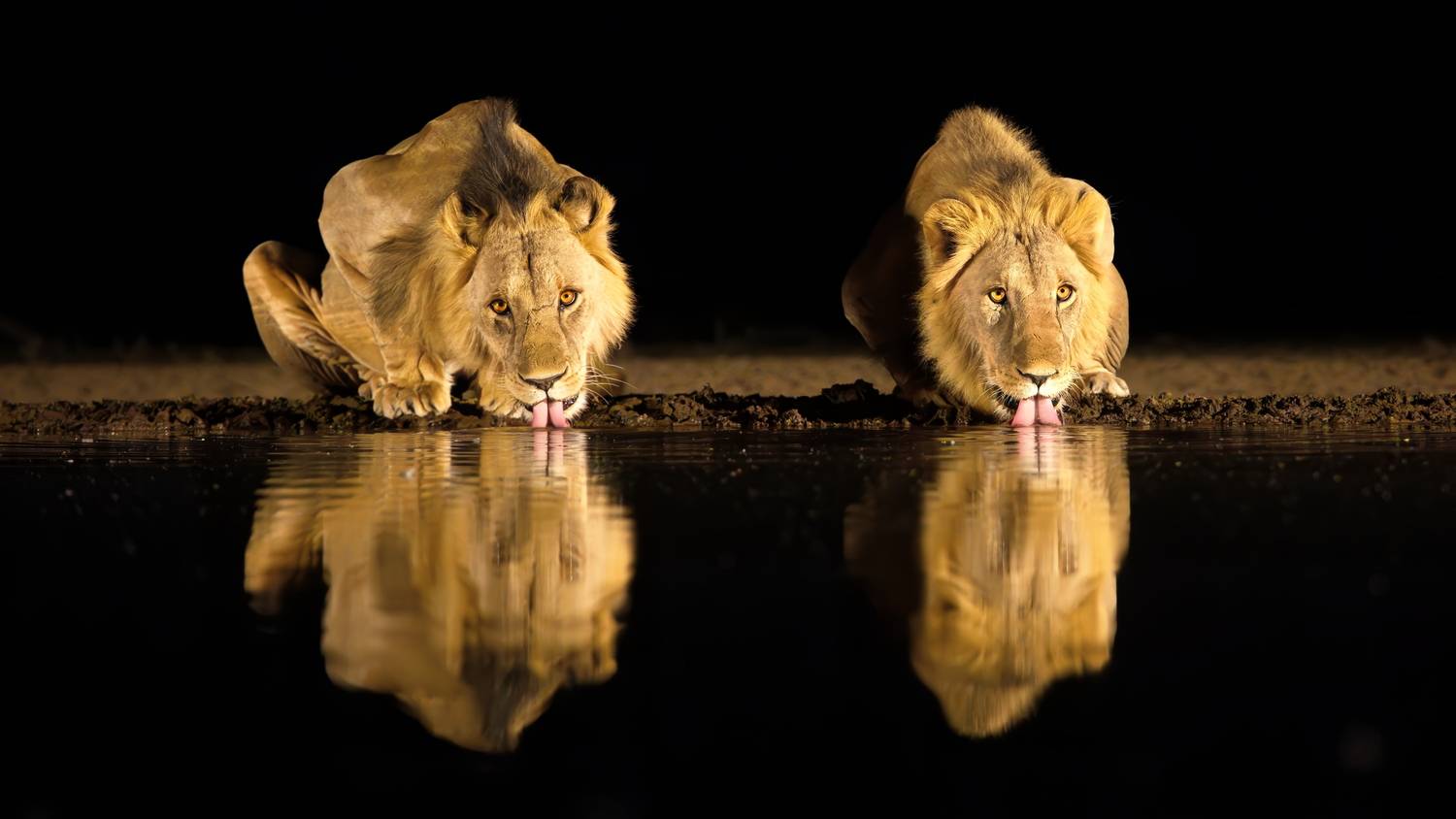 , Александр Перов