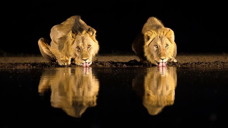 Ночной выпивон фото превью