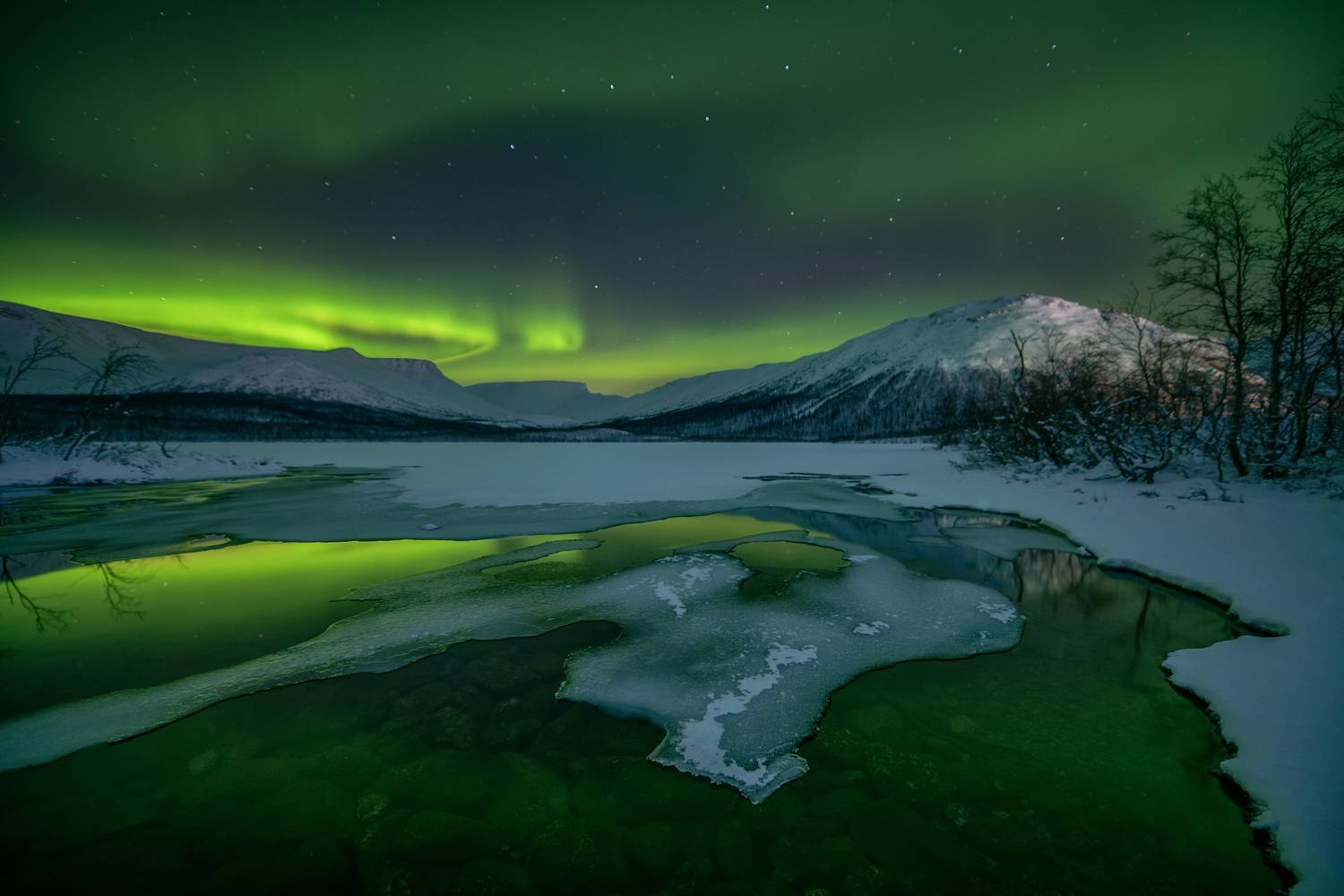 , Евдокимов Максим