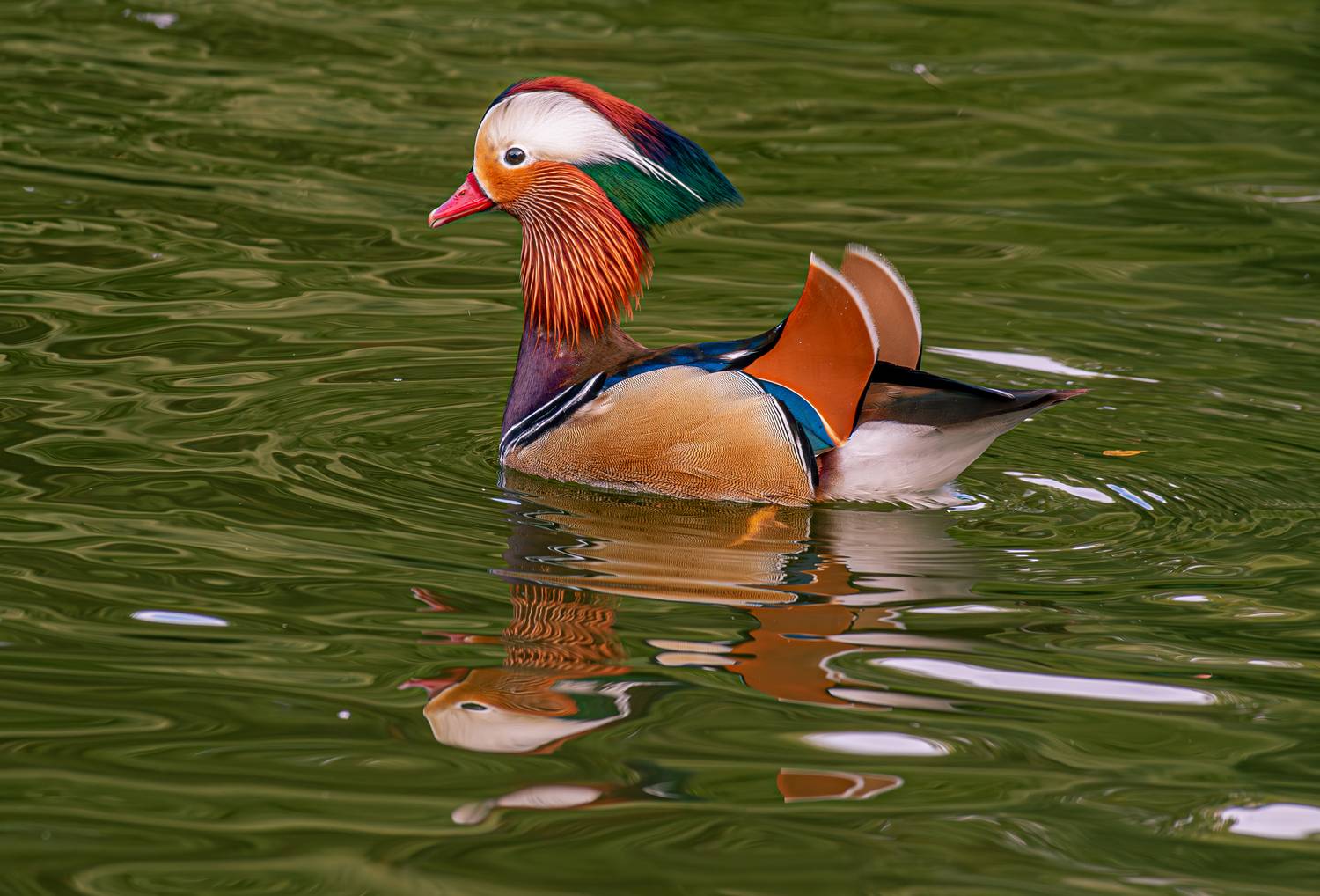 , Михаил Измайлов