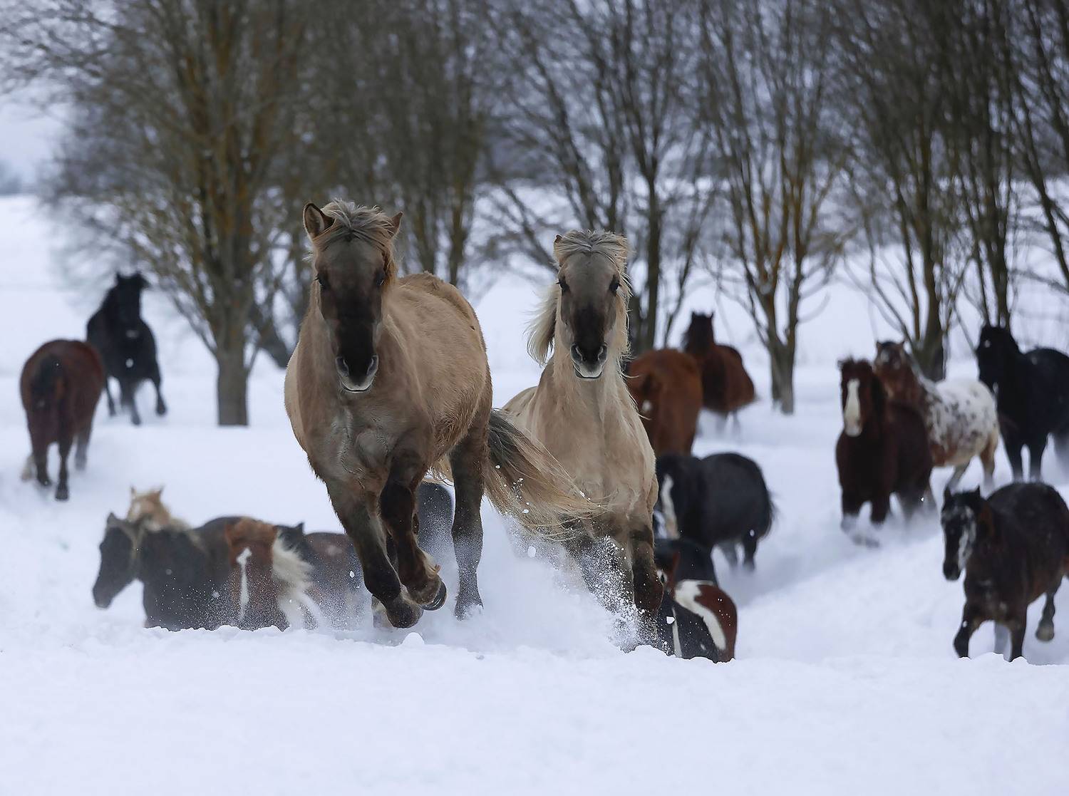 , Стукалова Юлия