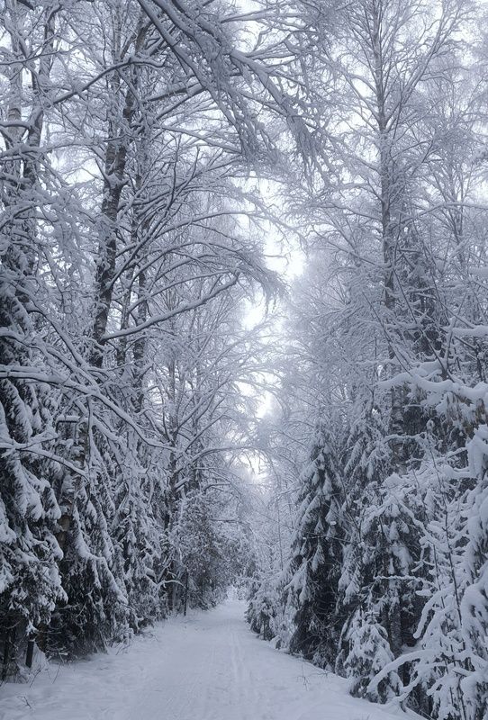 1 января Нового Года! фото превью