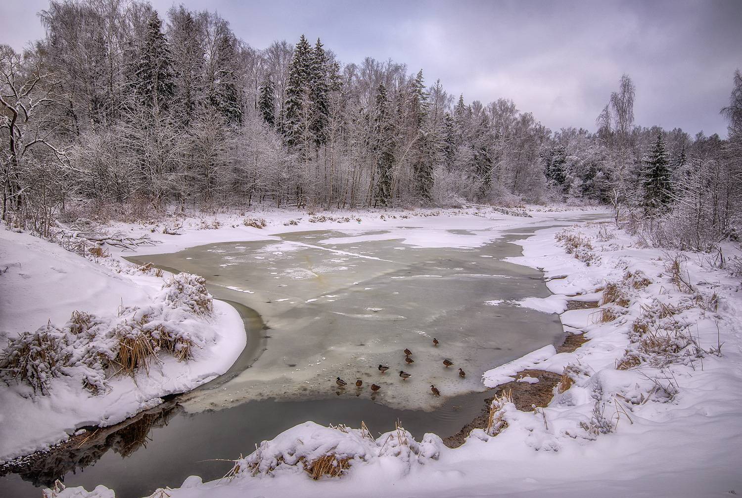 , Сергей Аникин