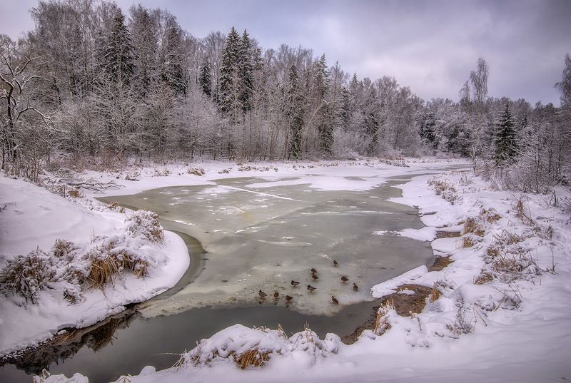 *** фото превью