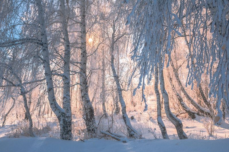 Зимнее тепло фото превью
