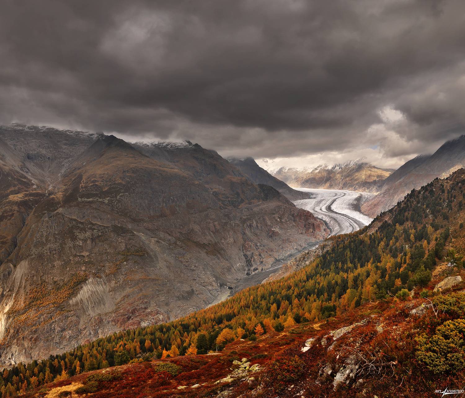 swiss, Матвеев Николай