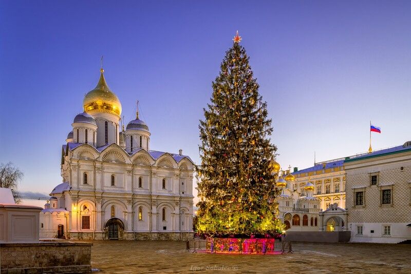 москва, новый год, соборная площадь, кремль Новогодняя ёлка на Соборной площади Московского кремля фото превью