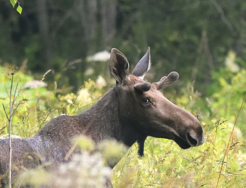 Молодежь фото превью
