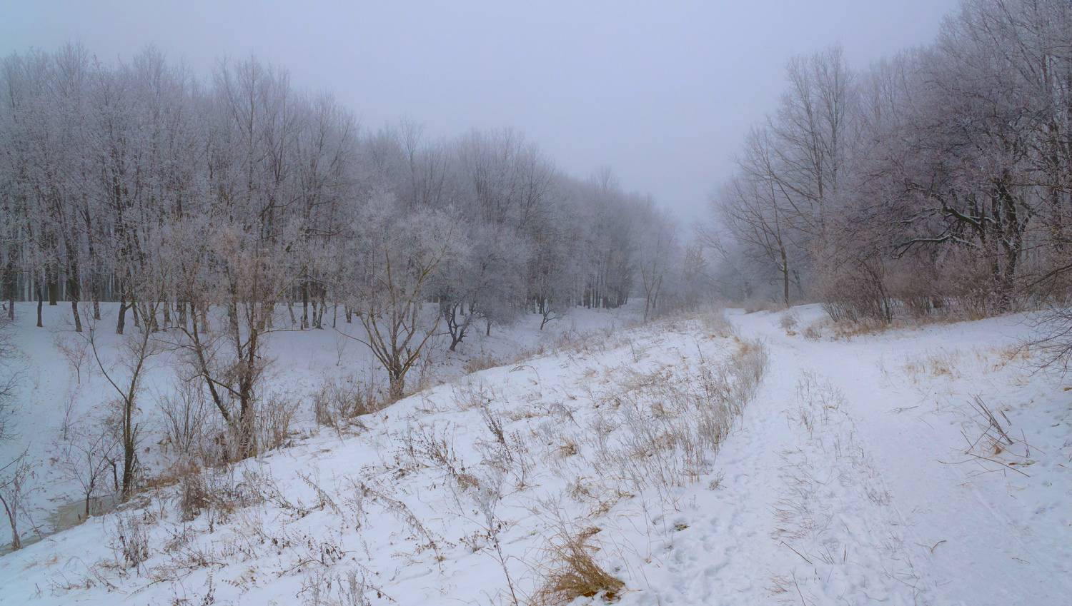 , Лысенко Сергей