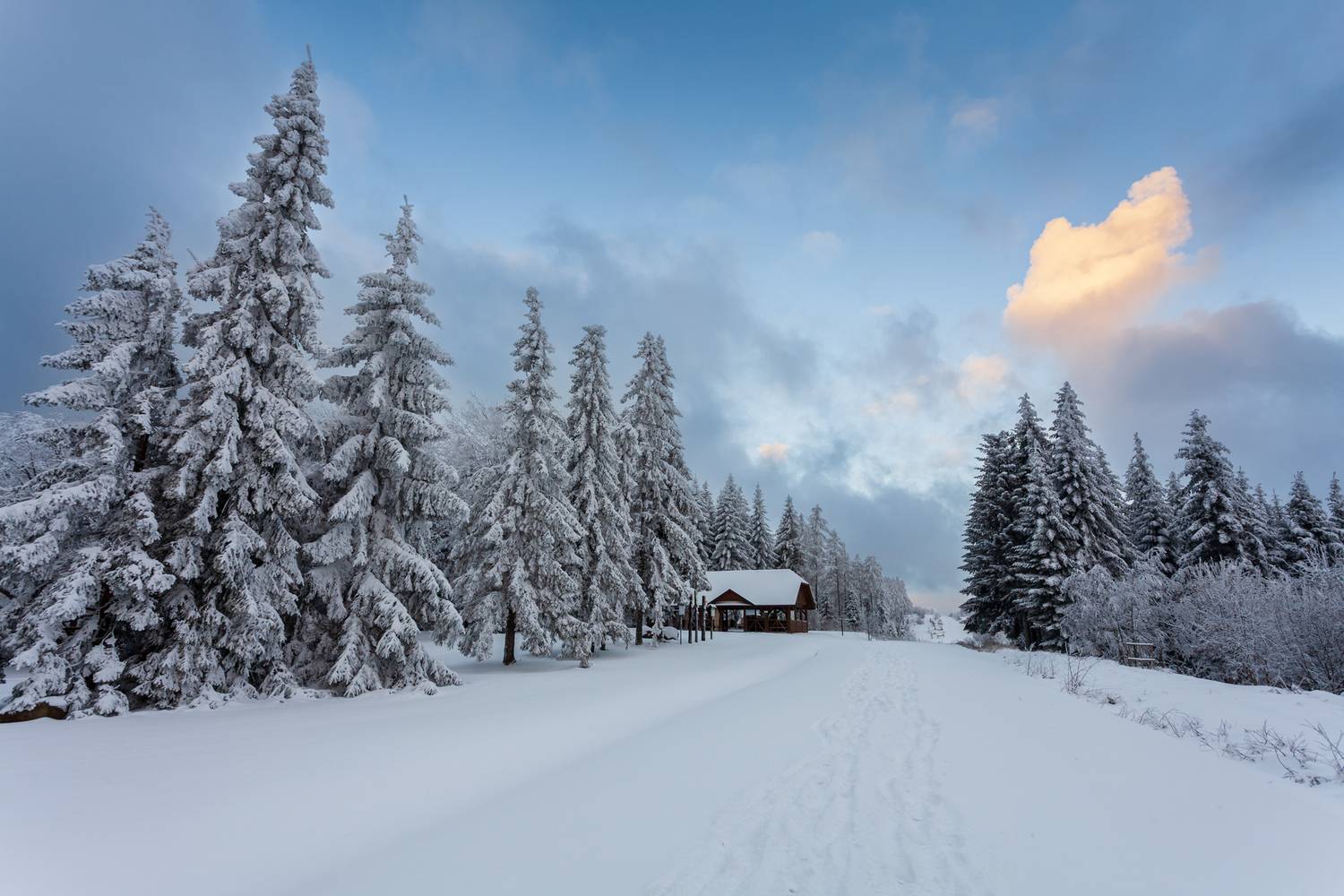 ,  Mirosław Pruchnicki