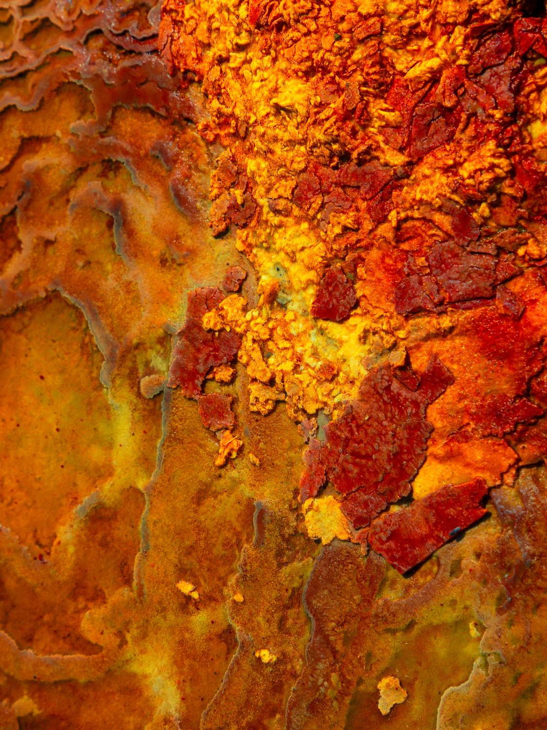 , Вукотић Никола