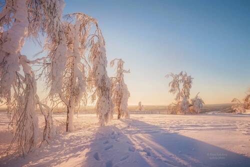 Волшебное утро на Белой горе