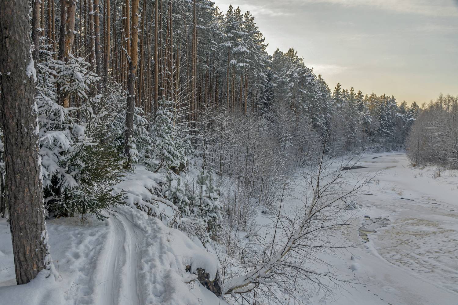 , Шитов Александр