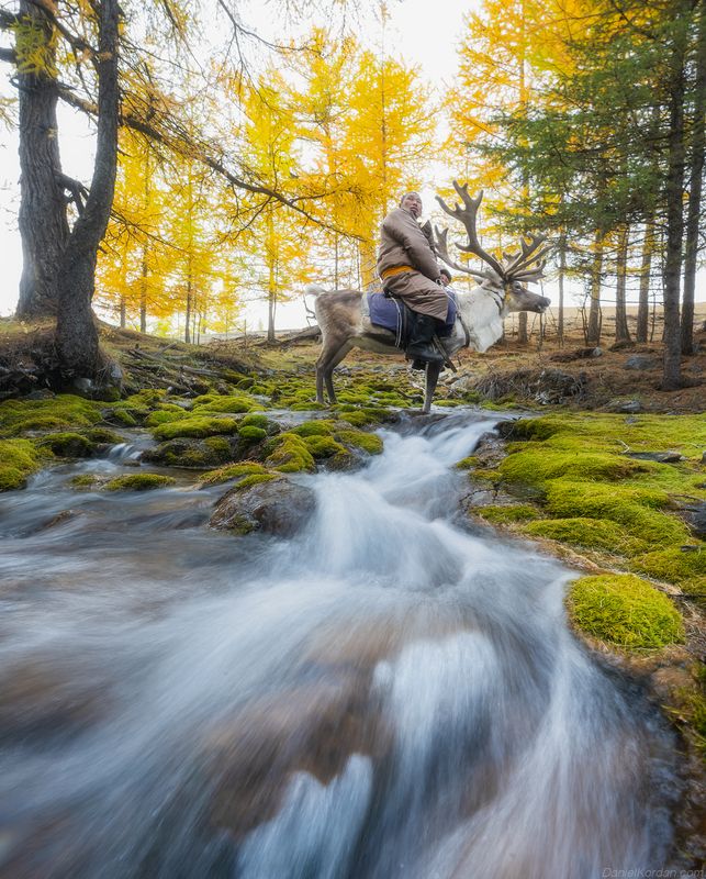 Mongolia Tsaatan фото превью