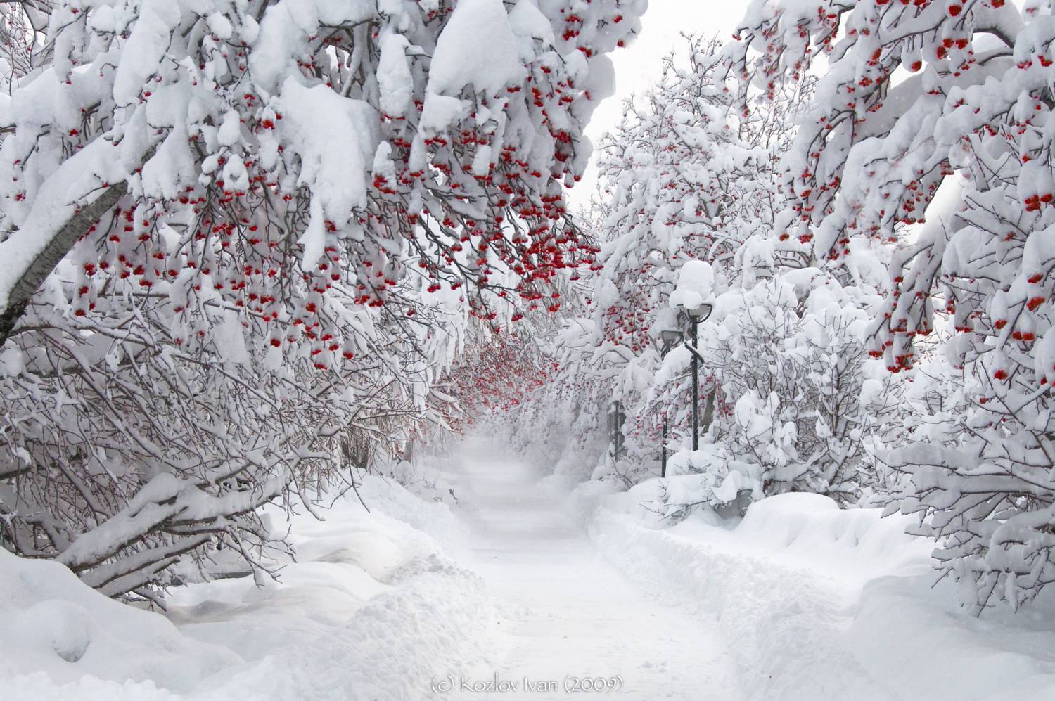 , Козлов Иван