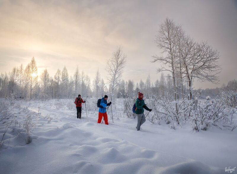 На лыжах по Ферзиковскому лесничеству фото превью