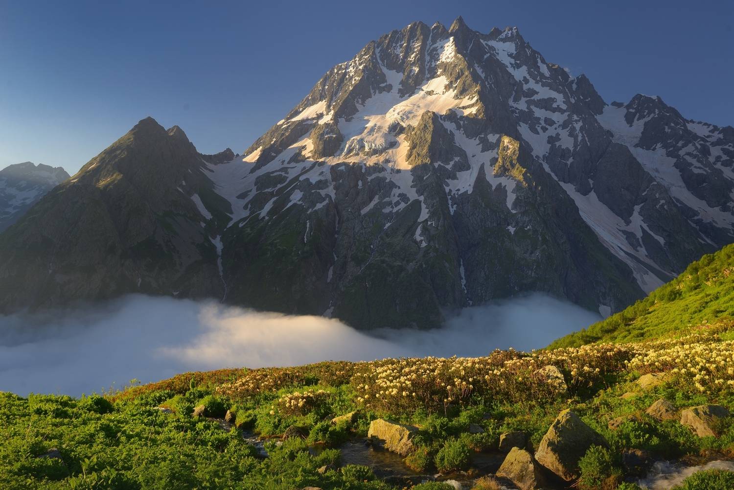 горы лето кавказ утро пшиш, Александр Жарников