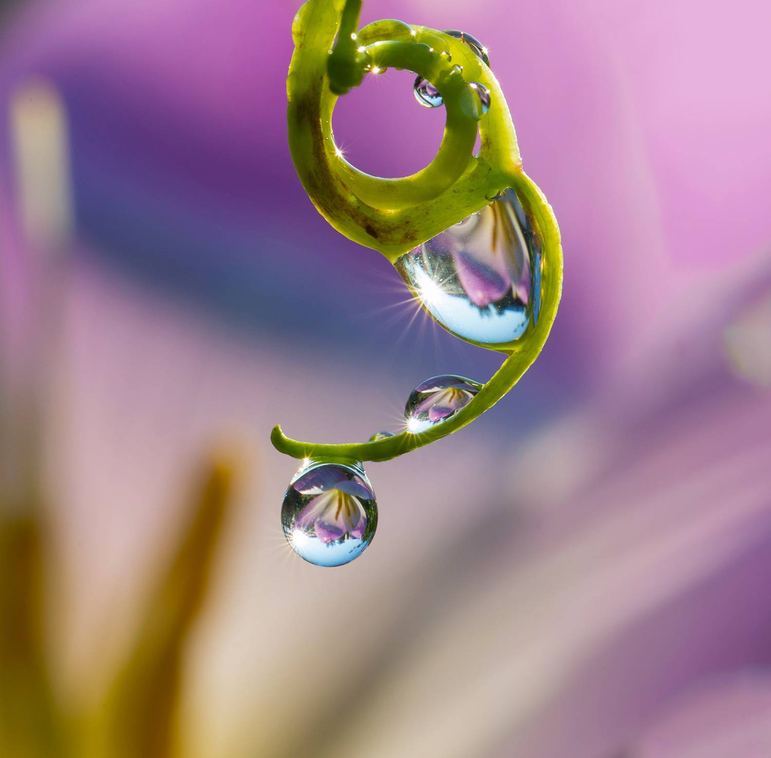 Макро., Kudryavtsev Pavel