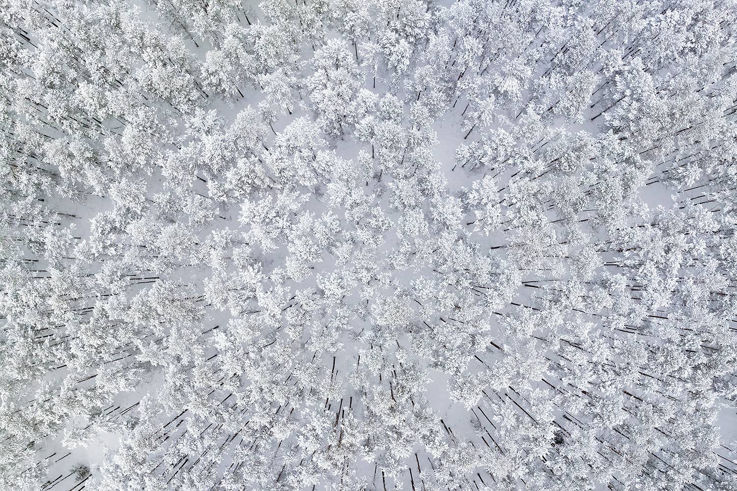 , Абросимов Александр