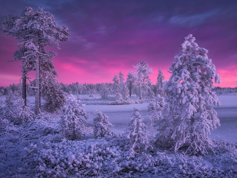 Скованные первыми холодами фото превью