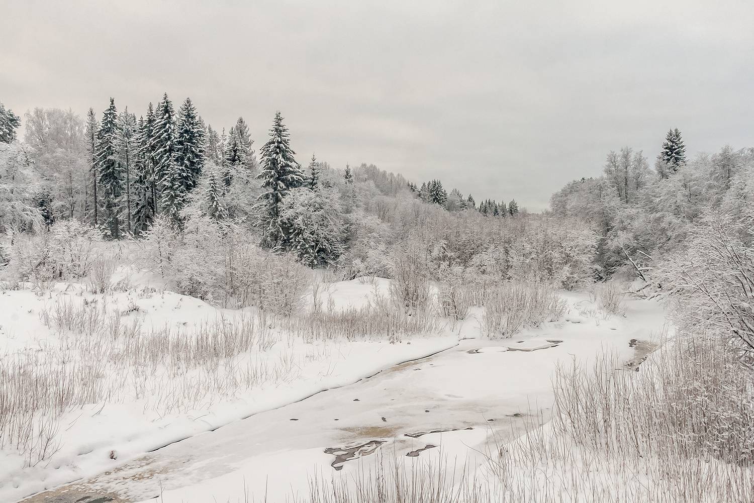 речка, зима, снег, день, лес, кустарник, берег, сугроб., Анкудинов Леонид