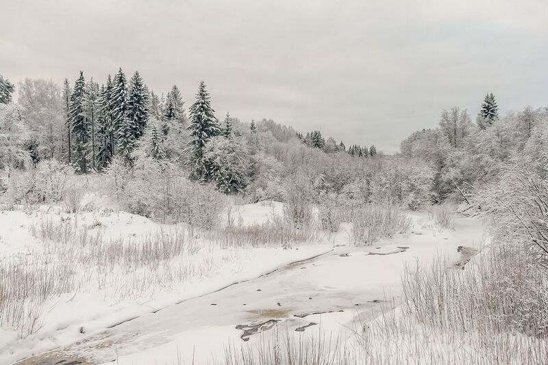 речка, зима, снег, день, лес, кустарник, берег, сугроб. Коротким зимним днём. фото превью